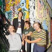 sunjunkiesbandcamp.png