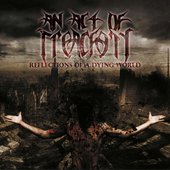 Reflections Of A Dying World