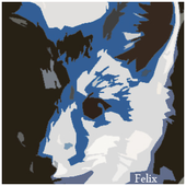 FelixWolfe için avatar