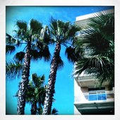 summertime