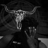 IMG_9047.jpeg