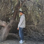 beaux inna forest or sum