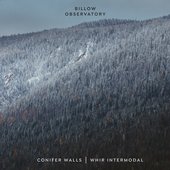Conifer Walls | Whir Intermodal
