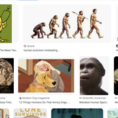 Screen Shot 2023-03-21 at 11.29.13 AM.png