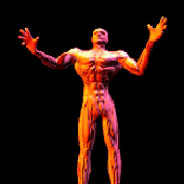 Avatar di orybyn