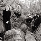 Fungus Hill