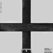 EQetamine (DJs Pareja "Bad Dog" Remix)