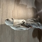 IMG_2625.jpeg