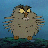 OcherOwl 的头像