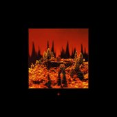 LP1