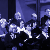 choir+shadow+pic+1.png