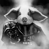 Awatar dla vaderspetpig