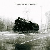 Train In The Woods
