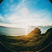 Hummingbird Sky
