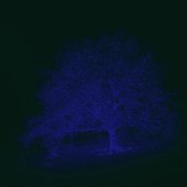 2025-04-26 soundcloud.jpg