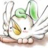 kotori.jpg