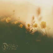 8 de Marzo