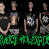 PERVERSE MOLESTATION 2010