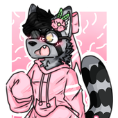 PekinRaccoon 的头像