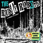 A Forest at Night 45rpm Special Long Version