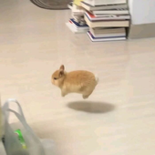 boo278 的头像