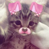 scroomcat_ 的头像