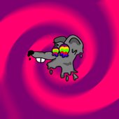 rat