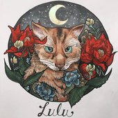 Lulu the Cat