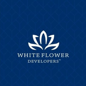 Avatar for whiteflower02