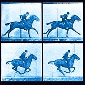 Every_Frame_a_Painting_icon.jpg