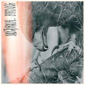 Nocturnal Birding [Explicit]