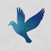 Lofi Bird.jpg