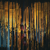 Avatar for felipewagnr