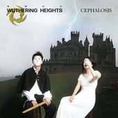 Wuthering Heights呼啸山庄