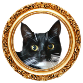 Avatar for slaepwerigne