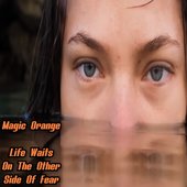 Life Waits On The Other Side Of Fear