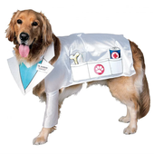 DoctorDog05 için avatar