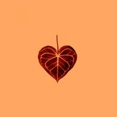 Amber (feat. Javonte Hettinger) - EP