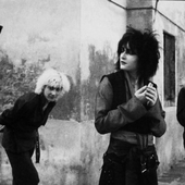 Siouxsie and the Banshees