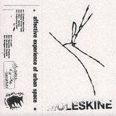 Affective Experience Of Urban Space