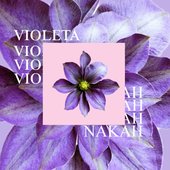 Violeta