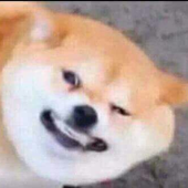 Heefdiggy 的头像