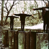Assert your dominance
