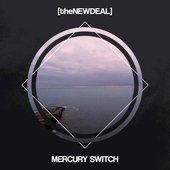 Mercury Switch