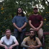 Graysea