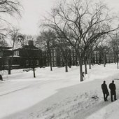Across Harvard Yard