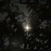 brightlight