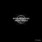 Arctic Linqua