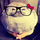 Vicc_toriaa 的头像
