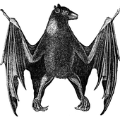 Avatar for BatsyFiendish